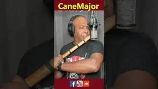Micing my pulled flute embouchure with an AKG P220