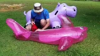 Pink Dolphin Inflation