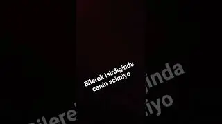 kendi sesim ile ayarladım vallaha nere bastigimi bende bilmiyom😂🤣🤣😂 #music #reels #viral #edits