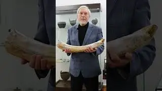 Сотрудник музея рассказывает об уникальном экспонате