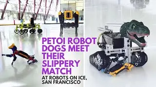 Robots on Ice Steal the Show 2024 | Featuring Petoi Robot Dog Bittle & Bittle X | PetoiCamp