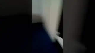 Номер Влада