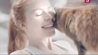 Анонс и реклама (Пятый канал, 28.05.2017)