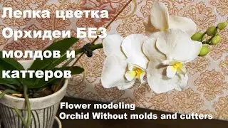 Orchid Without molds and cutters, tutorial modeling a phalaenopsis orchid flower from cold porcelain