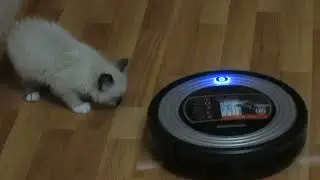 ЧЕРТОВО КОЛЕСО