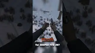 СЛУЧАЙ НА ОХОТЕ В Dayz Stalker rp 