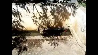 Yeşilyöre'den Kareler