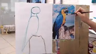 Как рисовать попугая