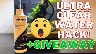 Seachem Pristine Review | How to Clear Aquarium Water + GIVEAWAY!!