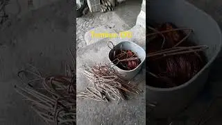 Rekor tertinggi tembaga #tembaga