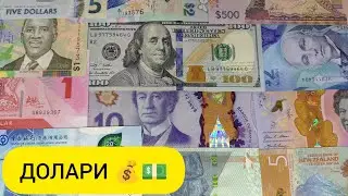 ЯКІ ІСНУЮТЬ ДОЛАРИ СВІТУ 💰💵 | По країнах