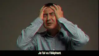 Yolande Bashing - L'Éléphant