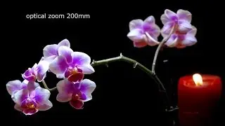 Optical Zoom vs. CIZ