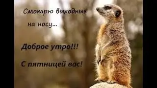 Смешное видео. Ура... Пятница!