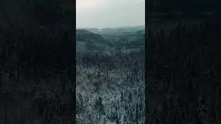 #melodeath #metal #drone #winter #deathmetalriffs #guitar #wolfheart #heavymetal #forest
