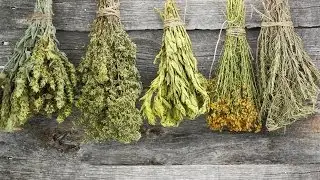 How to Dry Herbs