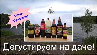 Дегустируем квас/"Сравним? Попробуем!".