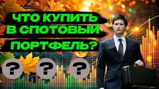 КРИПТОПОРТФЕЛЬ НА ОСЕНЬ 2024. Какие монеты покупать перед альтсезоном?