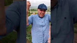 Анекдот! Вовочка пошёл в первый класс 😂
