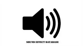 Parrot Bird Sound Effect
