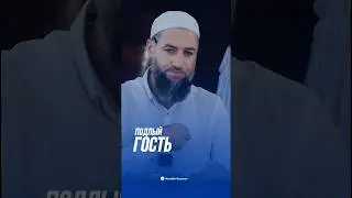 ПОДЛЫЙ ГОСТЬ