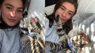 How I prepared for my first kitten...Part two of kitten vlog!