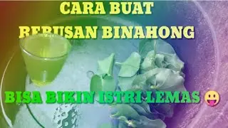 cara merebus binahong