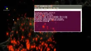 Embedded WinXP into Ubuntu 10.10 User Desktop Environment