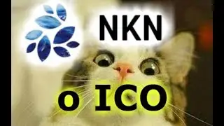 NKN краткий обзор ico  и мнение по инвестиционной привлекательности
