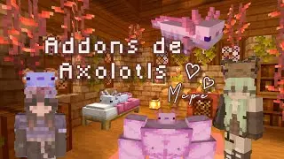 Addons de Axolotls | Mcpe 🌷✨