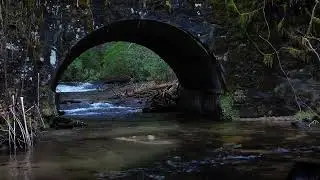 Gaddistown Bridge