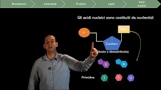 Biomolecules: Lipids and Nucleic Acids