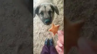 Сэмик очень ждёт свою семью 