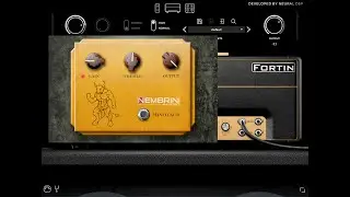 Neural DSP Fortin Nameless With Nembrini Clon Minotaur - Andrea Maccianti