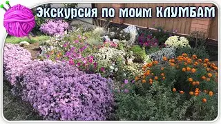 Мой двор.Простые и красивые клумбы своими руками.Экскурсия по моему саду  - заходите в гости.