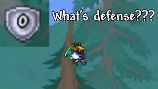 Terraria Glass Cannon Players be like: