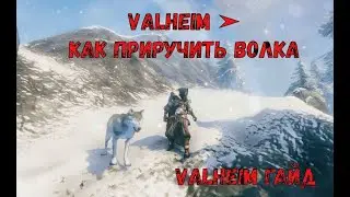 Valheim ➤ Как Приручить Волка ➤ Valheim Гайд