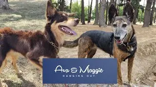 Ava And Maggie Hanging Out