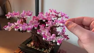 Lego Botanical Collection Bonsai Tree Speed Build