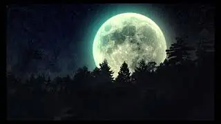 Специфика – Облик ❤️