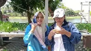 Wisata Belajar Hidroponik ke Kampung pro Klim Surabaya Jawa Timur