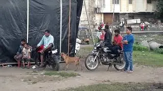 Matkki dahihandhi vapi Nayka wad dj dharmesh 8141400669 Call