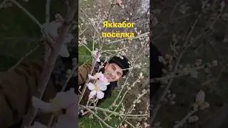 Бугун 1 февраль Яккабог посёлка.