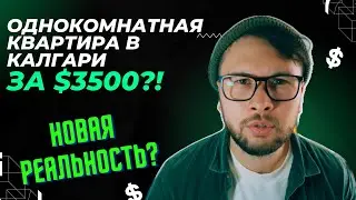 Как найти жилье в Калгари в 2024? Смотрим квартиры и цены