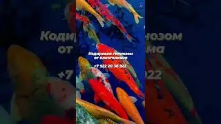 Кодирование гипнозом от алкоголя 
