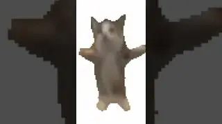 кот шнапи шнапи мем 