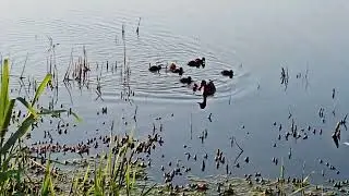 Заботливая мамочка