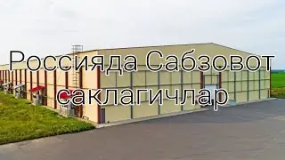 Россияда Сабзовот саклагичлар