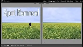 Adobe Lightroom Tips & Tricks - Spot Removal (English Subtitles)