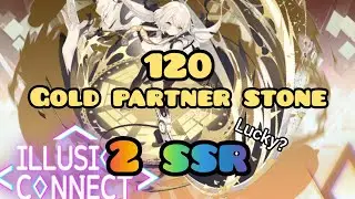 [ILLUSION CONNECT] 120 Gold Partner Stones